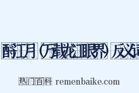 酹江月（万载龙江眼界）反义词是什么意思的图片